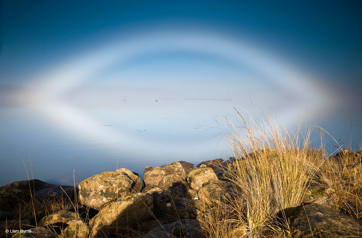 Ghostly white fogbow reflected in a blue lake, creating an almond shape. Rocks and a tuft of dry grass in the foreground.